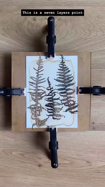 ⚠️ Safety Warning: Toxic Plant Anthotype!!! More infobon comment! Always check plants before using!