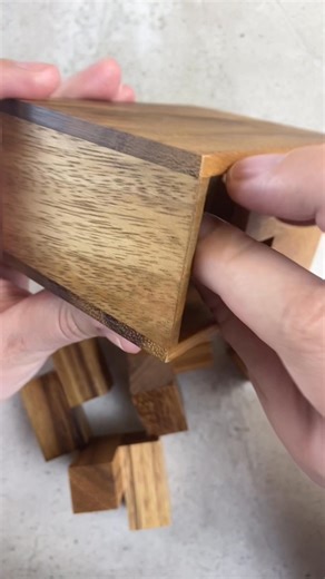 Fit all 6 Puzzle pieces into the box. #puzzlesolving #puzzlegame #puzzle #puzzlemaster #puzzlechallenge | Puzzle Master Inc.