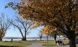 Syracuse named one of the 10 best places to retire — affordably