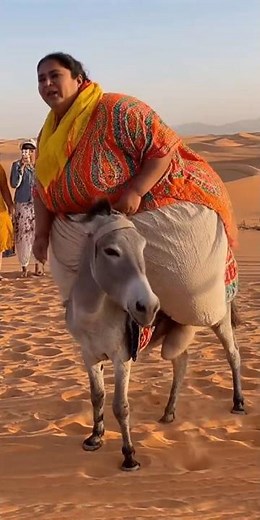 200 KG Woman Riding Donkey in Desert! 😳😂 Tourists Can’t Stop Recording!