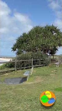 East Ballina Beach 🏖️ NSW Australia 🇦🇺 #australianbeaches #australiatravel