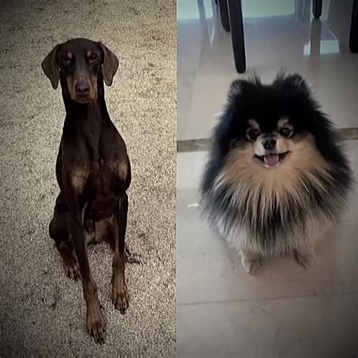 Goodbye Moments with Yeontan and BTS