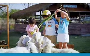 全棉时代广告-T恤