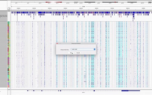 IGV 可视化工具官方教程--01--data navigation basic