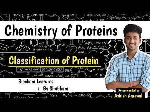 Classification of Protein || Chemistry Of Protein || Biochemistry Lectures || Ashish
