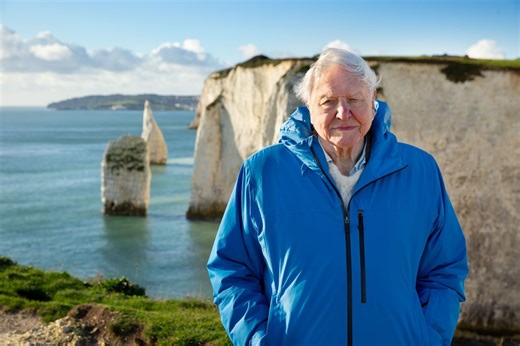 Ocean: 5 things David Attenborough taught me about our seas