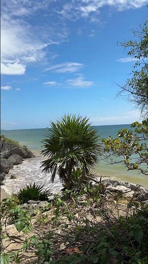 Mayan ruins above the Caribbean 🌴🏛️
