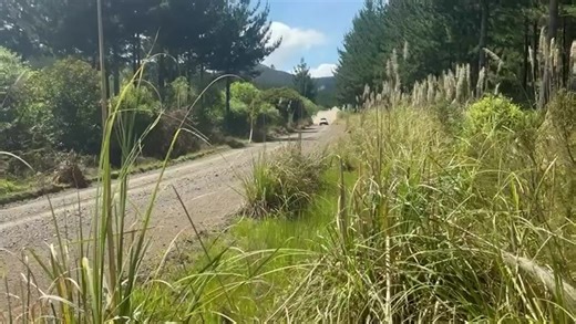 New Zealand Rally Championship on Reels