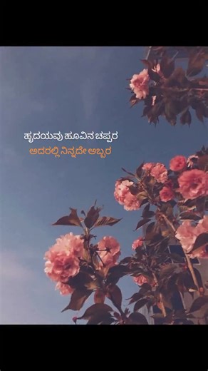 anamika | 💖 #kannada #kannadaactress #kanndareels #lovelife #likesharecommentfollow💕❤️❤️❤️ #viralreels #trendingreels #fypシ❤️💞❤️ #community #explore | Instagram