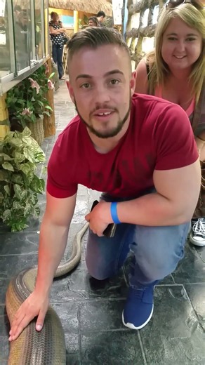 Visitors from Birmingham meet a massive titanium reticulated python up close