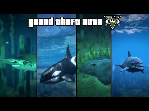 GTA 5 - Play as a Fish (Shark, Dolphin, Orca, Stingray & more) [PS4 & Xbox One]