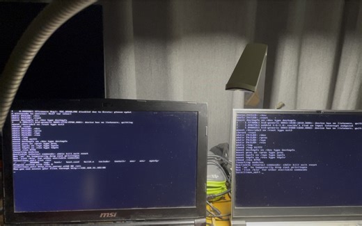 演示具有简单网络功能的自制小型Linux系统