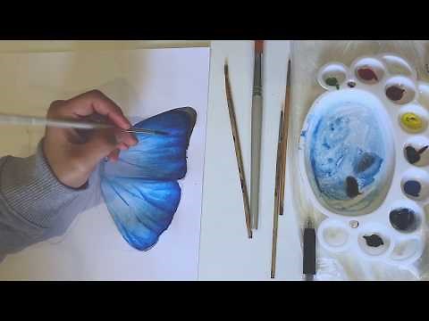 Tutorial drawing butterfly by watercolor