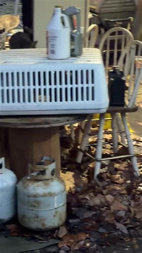 John Sutton Jr (@johnsuttonjrll)’s videos with original sound - John Sutton Jr