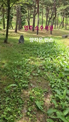 영주 소수서원, 양지은,빈손