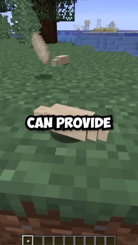 Don't ignore mystical world's silkworms