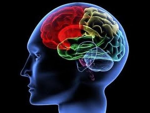5 Dimensions of Intellectual Ability
