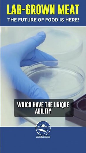 Lab-Grown Meat: The Future of Food is Here!