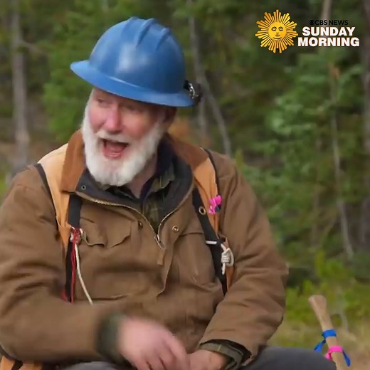 15K views · 378 reactions | Deep inside Malheur National Forest in Oregon is the world's largest living organism: a fungus, armillaria ostoyae, that spans thousands of acres, grows underground, and kills trees. But it also brings life – and mushrooms. | CBS Sunday Morning | Facebook