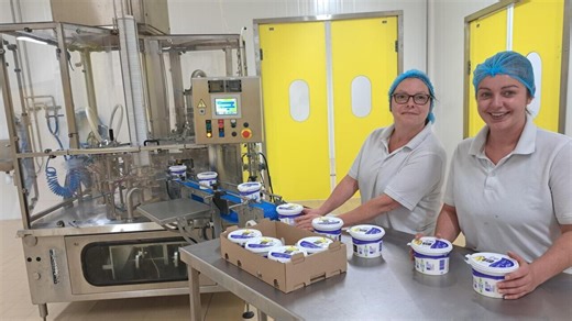 Vidéo. A Rohan, la laiterie artisanale Ker Ronan relance le gros lait traditionnel