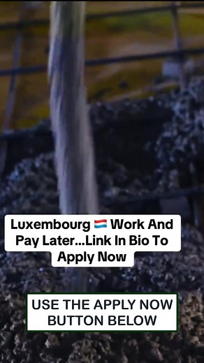 47 reactions · 18 comments | Follow the steps on the form to complete your application below  | Sasha's Daily | Facebook