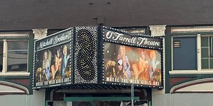 The Mitchell brothers' adult entertainment empire