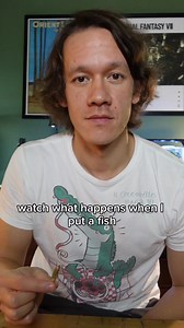 Watch what happens when I put a fish in a terrarium | Worcester Terrariums