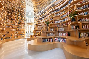 Los 45 mejores libros de 2025: novelas superventas, premiadas y aplaudidas por crítica y lectores