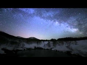 MR TRAUMATIK - SURVIVAL OF THE SMARTEST ( FREE DOWNLOAD )