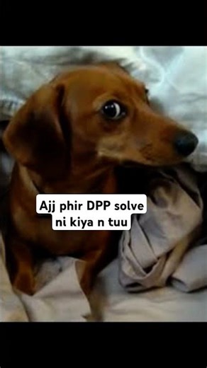 JEE student memes #jee #iit #iitjee #iitjeepreparation #iitmemes #jeeaspirant #jeeadvanced #jeemains