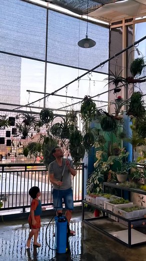 255 reactions · 5 comments | Sunday night pool party  by @wonderexolands #urbanjunglebloggers | Urban Jungle Bloggers | Facebook