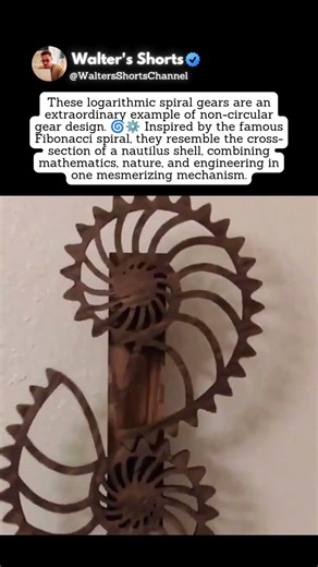 These Spiral Gears Look Impossible 🌀⚙️