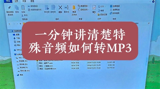 一分钟讲清楚，下载的特殊音频ncm、mflac、kgma等，如何快速转换成mp3格式。