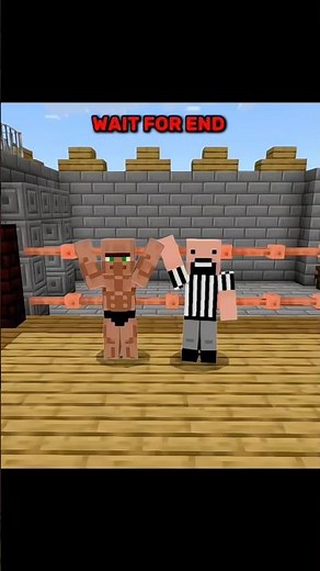 The Minecraft Boxing Championship 💀 #minecraft