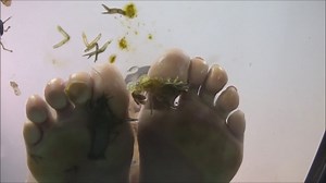 Allara's Barefoot Crush -