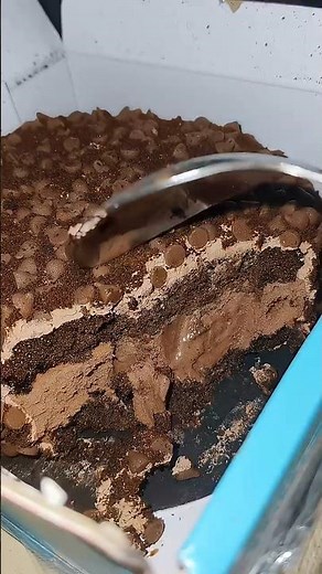The Only Way to Eat Chocolate Ice Cream Cake 🍫🍨havmor ice cream cake