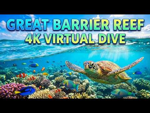 The Ultimate Ocean Descent: Great Barrier Reef Virtual Tour [4K ASMR]