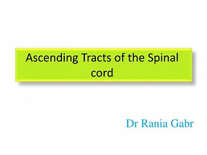 Ascending Tracts of the Spinal cord - SlideServe