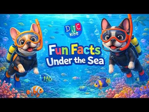 Under the Sea for Kids: Ocean Animals Adventure! | DJC Kids
