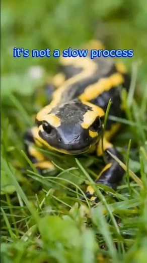 🦎 This Animal Can Regrow Its Body Parts (Unbelievable!)