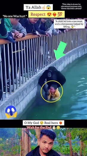 Respect 😇☝🏻 MashAllah 😍 #shorts #short #youtubeshorts