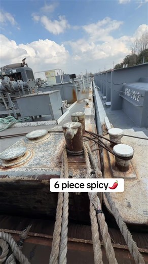 Experience Life as a Deckhand on a Tugboat