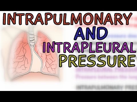 Biology: The Respiratory System: Intrapulmonary Pressure and Intrapleural Pressure