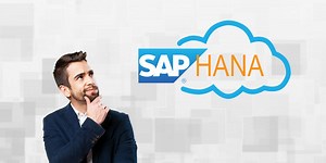 Apa itu SAP Hana? Kenapa Menggunakan SAP HANA?SAP ERP Blog
