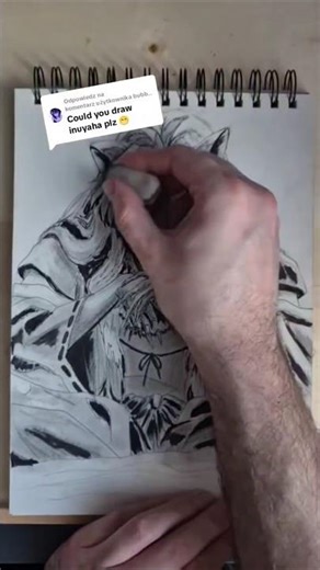 I draw Inuyasha for you 😀