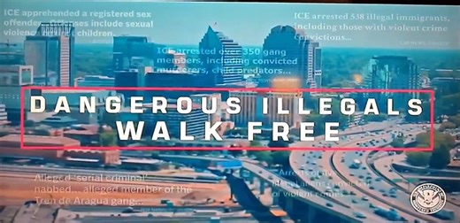 The New ICE Commercial Recruiting Sacramento Law Enforcement is Pure Dystopia