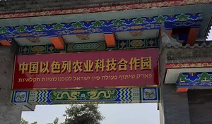 China-Israel hi-tech agriculture projects are booming | The Jerusalem Post