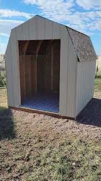 Building a Goose Barn | DIY Backyard Shed for Geese & Ducks