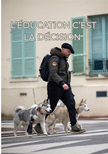 L'éducation canine axée sur le choix
