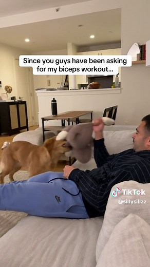 3 sets of tug of war to failure #dog #goldenretriever #fitness